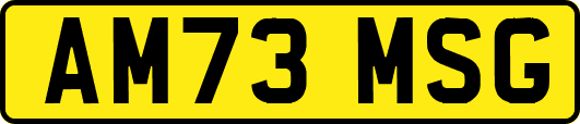 AM73MSG
