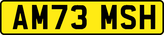 AM73MSH