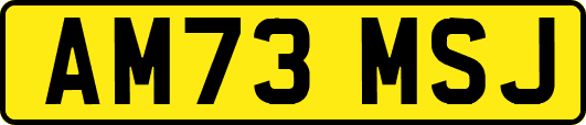 AM73MSJ