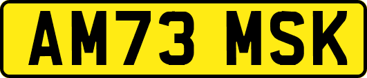 AM73MSK