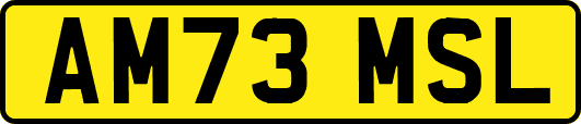 AM73MSL