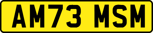 AM73MSM