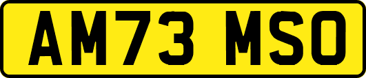 AM73MSO