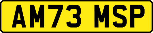 AM73MSP