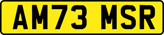 AM73MSR