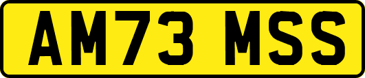 AM73MSS