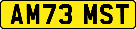 AM73MST