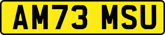 AM73MSU