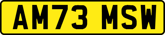 AM73MSW