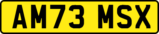 AM73MSX