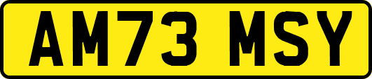 AM73MSY