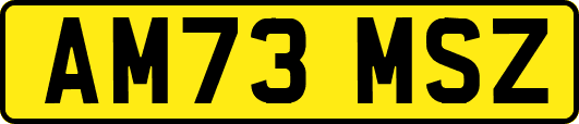 AM73MSZ