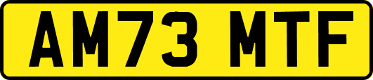 AM73MTF