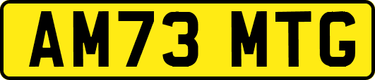 AM73MTG