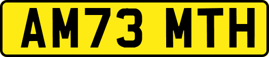 AM73MTH