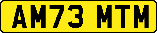 AM73MTM