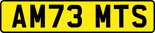 AM73MTS
