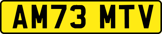 AM73MTV