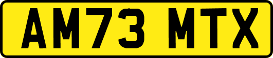 AM73MTX