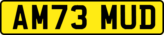 AM73MUD