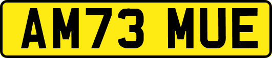 AM73MUE