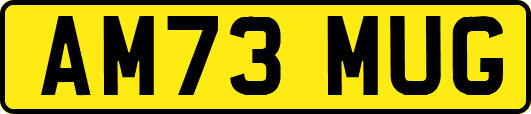 AM73MUG