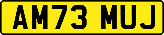 AM73MUJ
