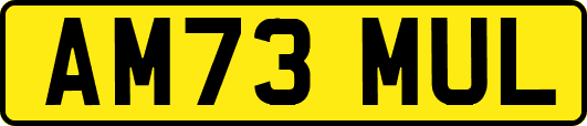 AM73MUL