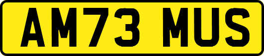 AM73MUS