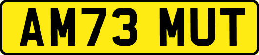 AM73MUT