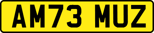 AM73MUZ
