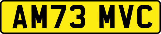 AM73MVC