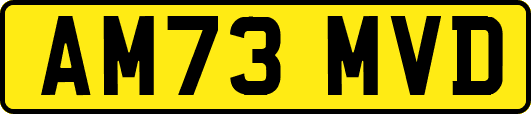 AM73MVD