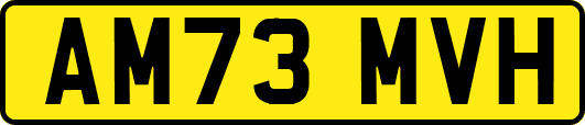 AM73MVH