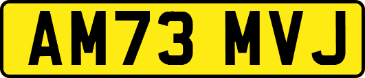 AM73MVJ