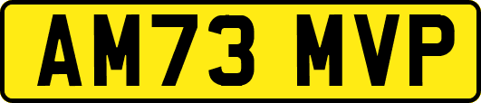 AM73MVP