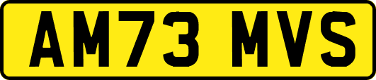 AM73MVS