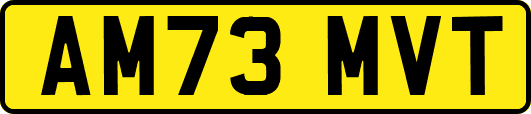 AM73MVT