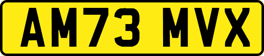 AM73MVX