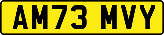 AM73MVY