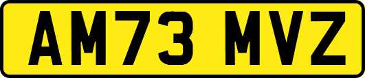 AM73MVZ