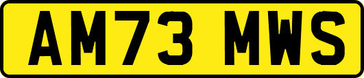 AM73MWS