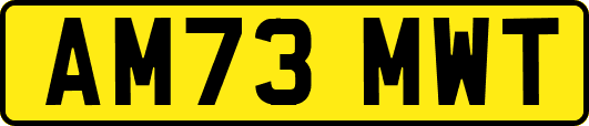 AM73MWT