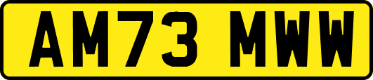 AM73MWW