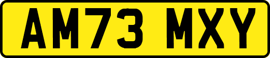 AM73MXY