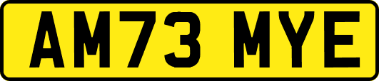 AM73MYE
