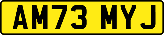 AM73MYJ