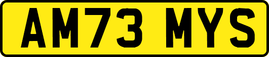 AM73MYS