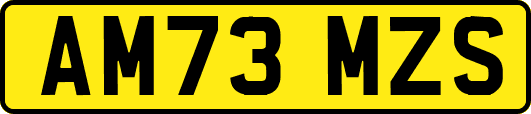 AM73MZS