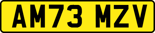AM73MZV